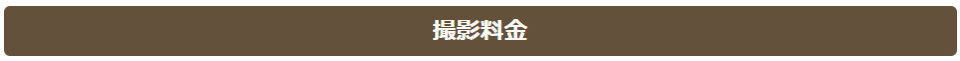 撮影料金