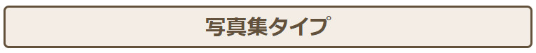写真集タイプ