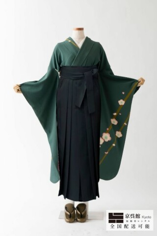 No.14094 線に梅×無地袴