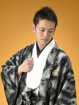 No.1069 MODERN CLASSIC　孔雀