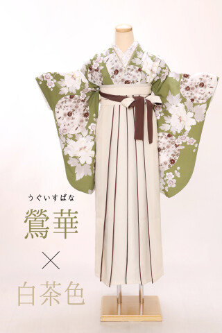 No.14301 【New】古典